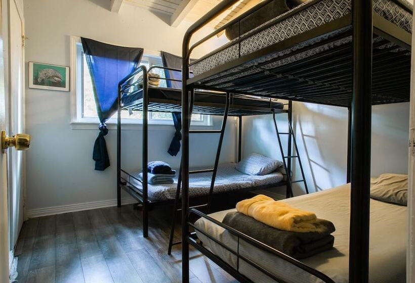 سرير فى غرفة مشتركه, Tallahassee Sun & Moon   Hostel