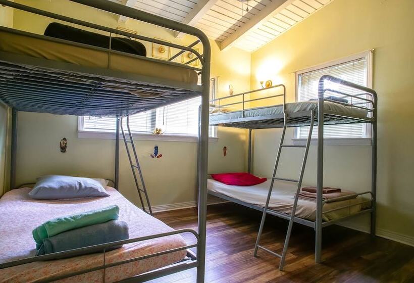 سرير فى غرفة مشتركه, Tallahassee Sun & Moon   Hostel