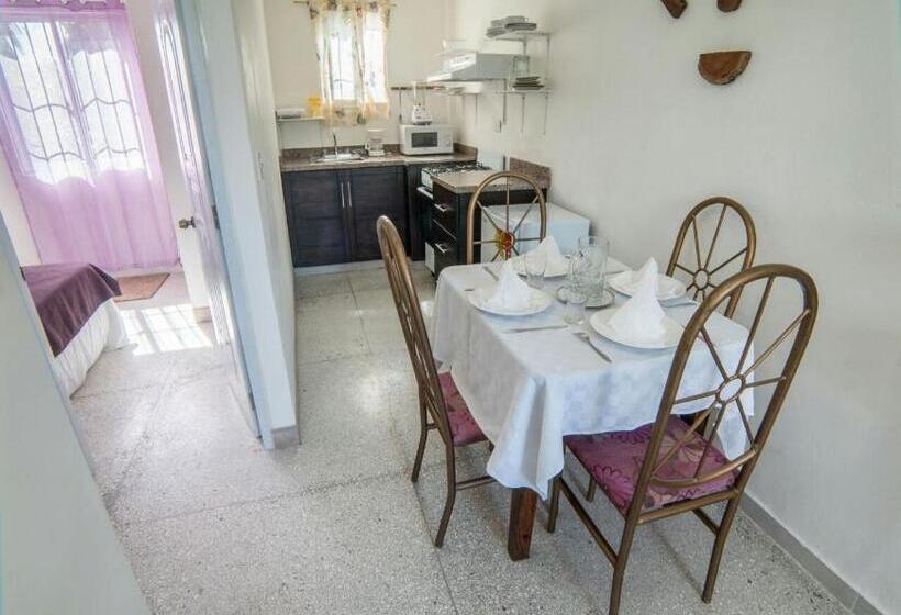 ２ベッドルームアパートメント, Apartamentos Magallanes Romana