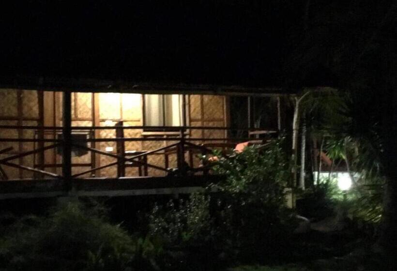 经济房, Allba's Homestay