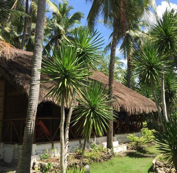 经济房, Allba's Homestay