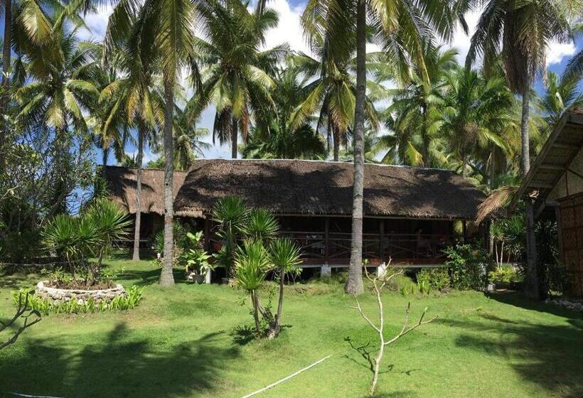 经济房, Allba's Homestay