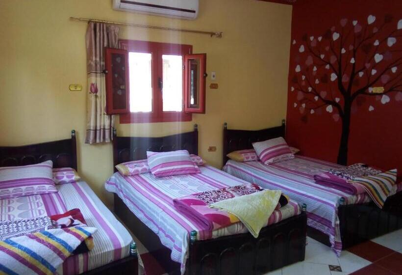 اتاق استاندارد سه نفره, El Amin Guest House
