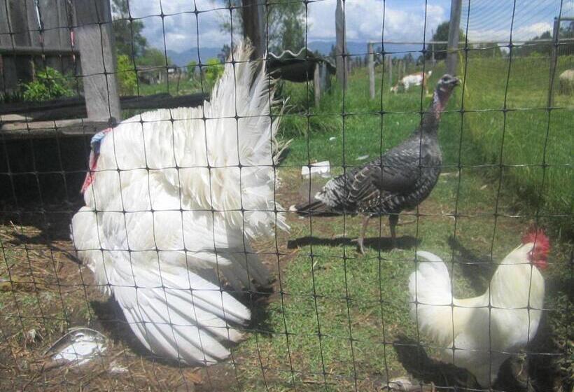 家庭间, Villa Libertad