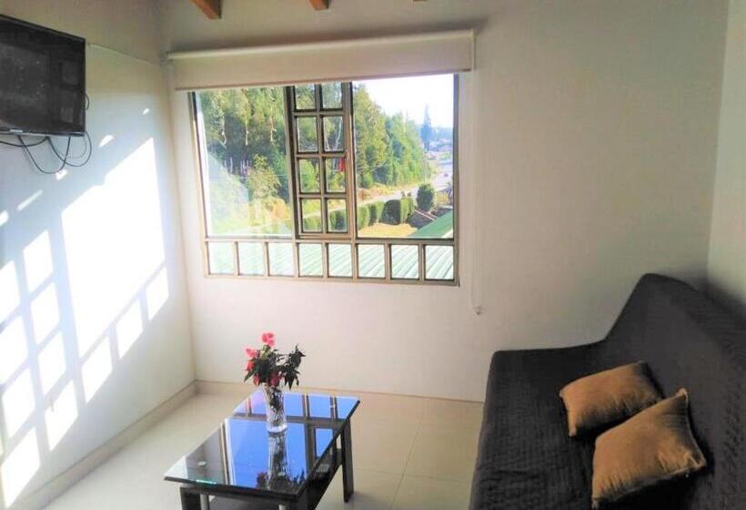 带1个卧室带花园景观的公寓, Villa Libertad