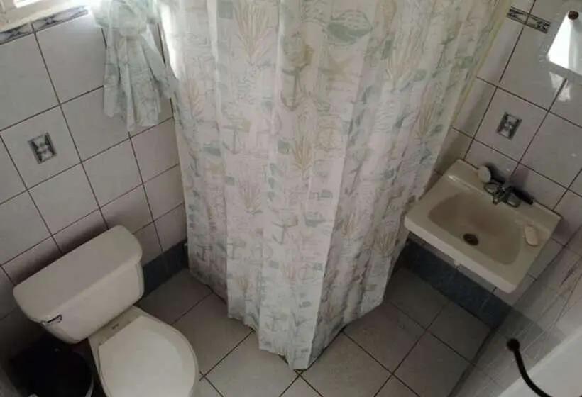 تختخواب در اتاق مشترک, Hostel Room Aruba
