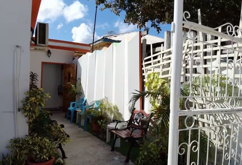 تختخواب در اتاق مشترک, Hostel Room Aruba