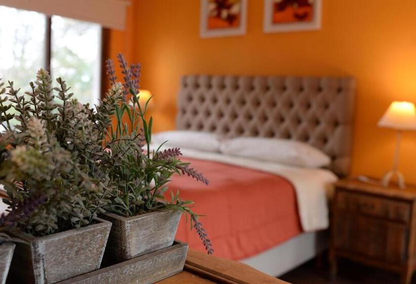 スタンダードスタジオ, La Morada Apart Boutique & Spa