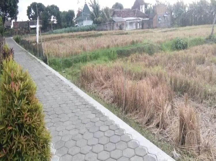 Vuode Makuusalissa, Sritanjung Homestay