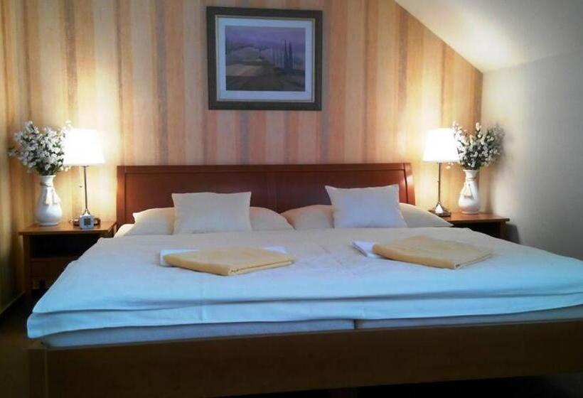 غرفة قياسية فردية, Pension U Labe