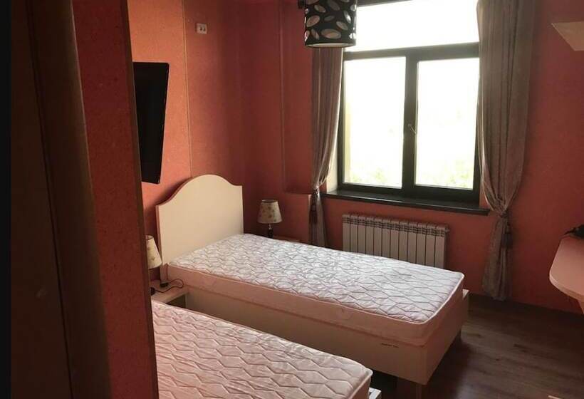 اتاق استاندارد سه نفره, 7 Days