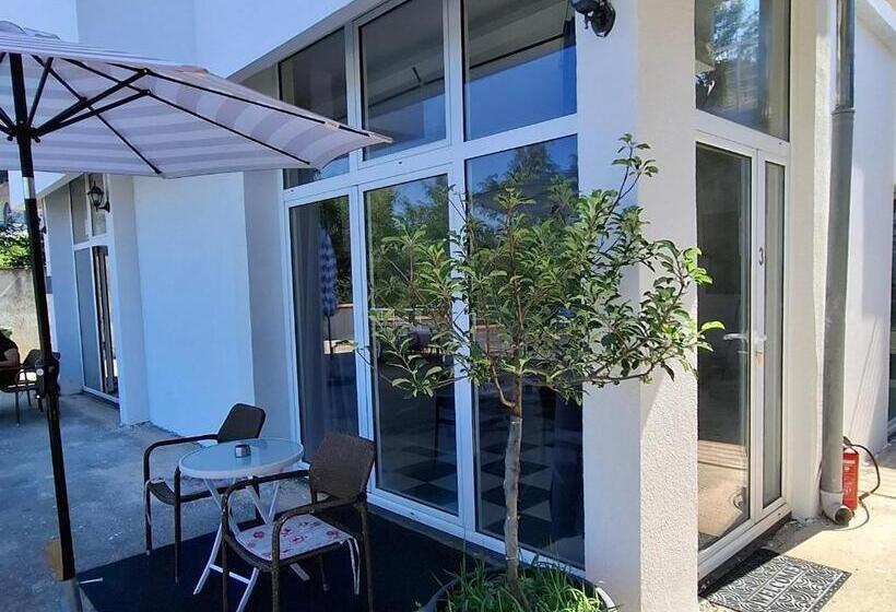 استودیوی استاندارد, Guest House Vila Vedesa