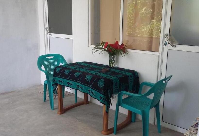 Номер Стандарт, Ameesha Guesthouse