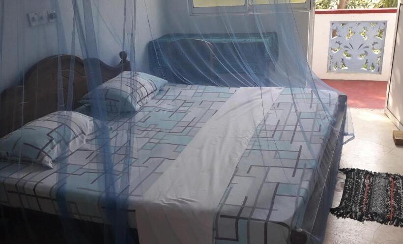 Номер Стандарт, Ameesha Guesthouse