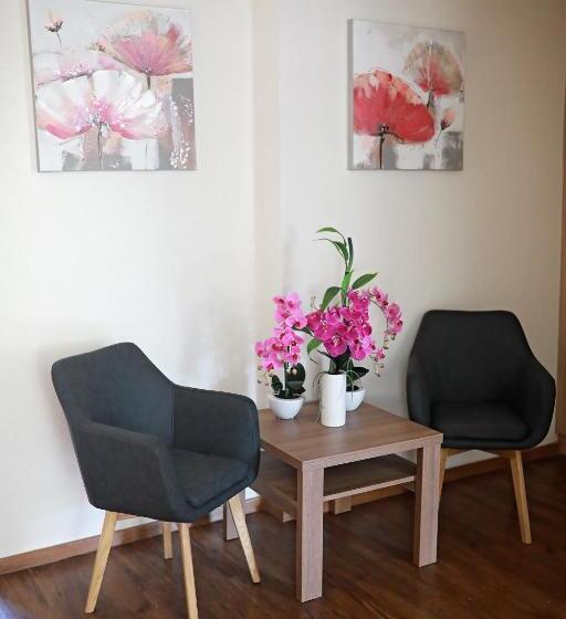 اتاق لوکس, Penzion Sokolská