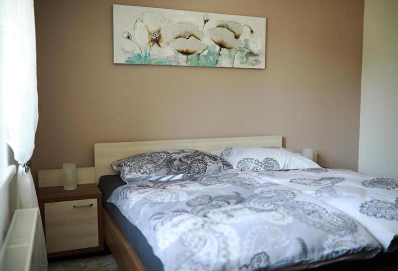 اتاق لوکس, Penzion Sokolská