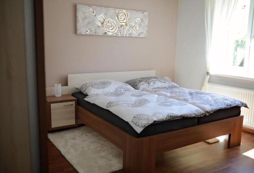 اتاق لوکس, Penzion Sokolská