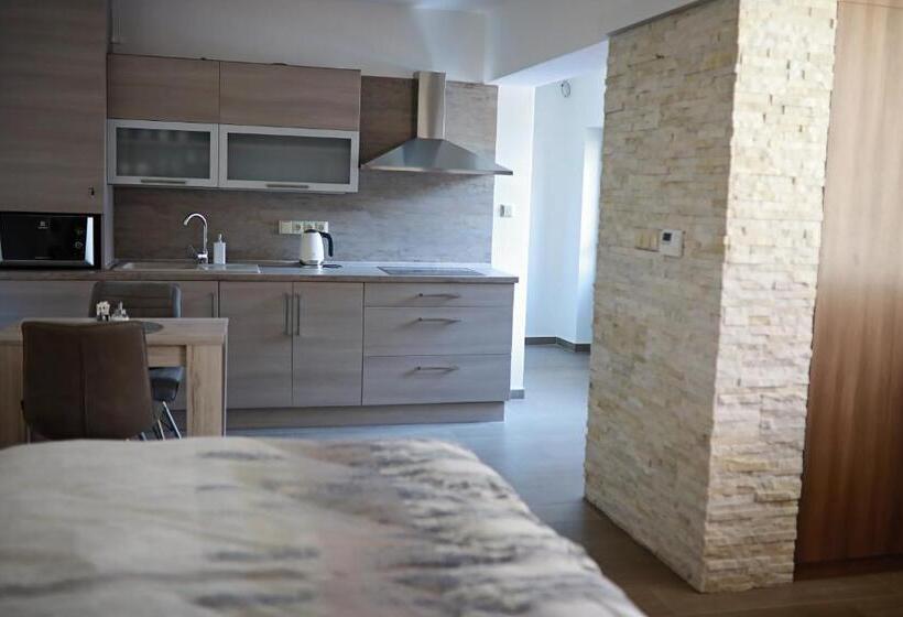 اتاق سوپریور, Penzion Sokolská