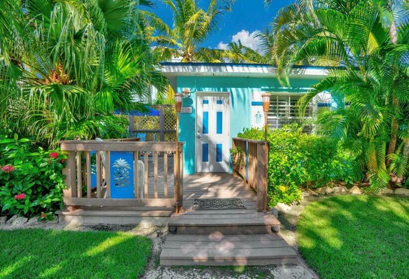 Büyük Çift Kişilik Yataklı Standart Oda, Island Bay Resort