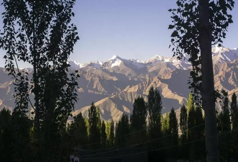 اتاق اکونومی, The Morning Sky