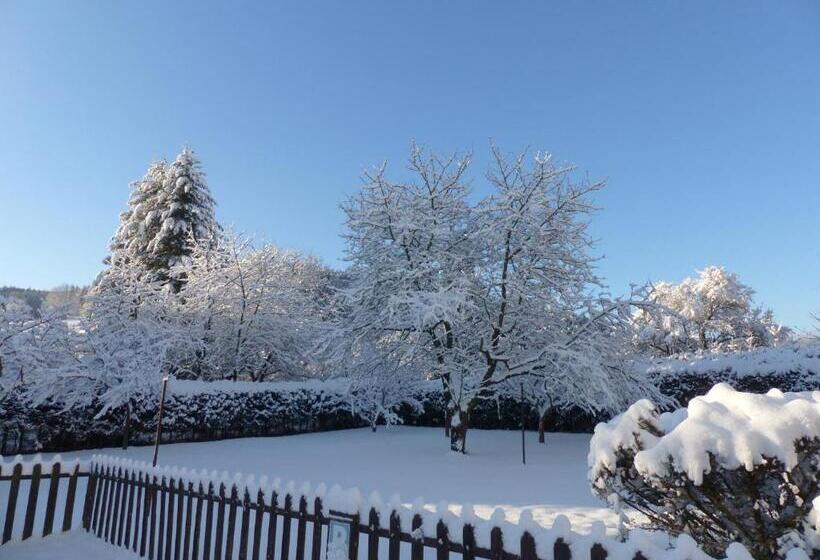 إستديو عائلى, Villa Plischke