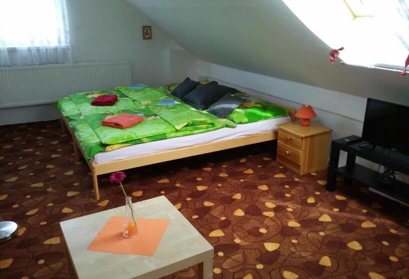 إستديو عائلى, Villa Plischke