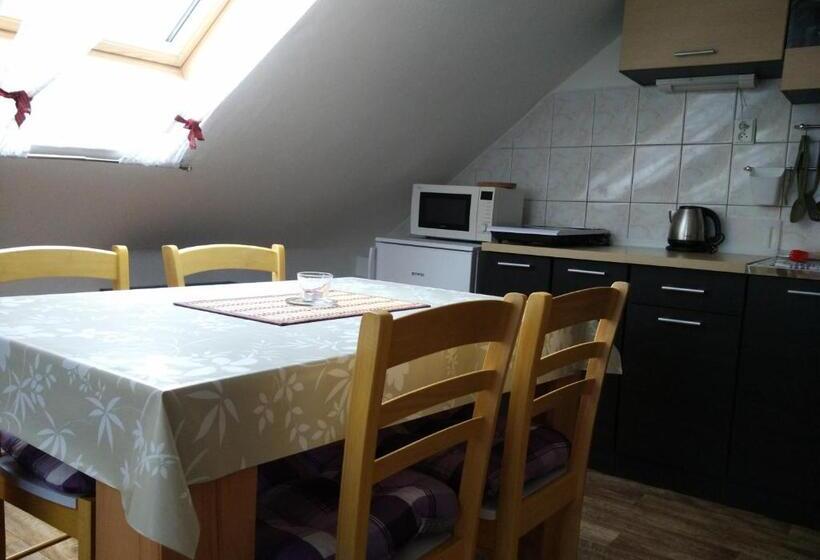 إستديو عائلى, Villa Plischke