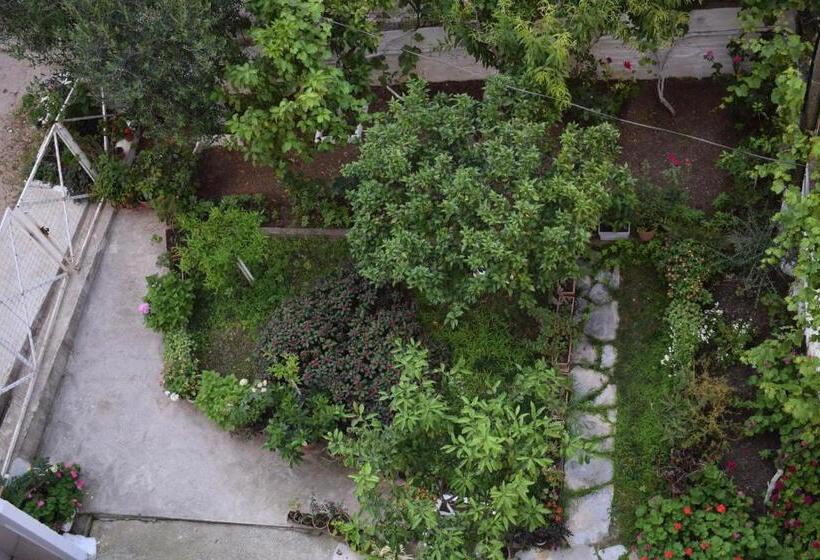 اتاق استاندارد سه تخته با چشم‌انداز باغ, Elena