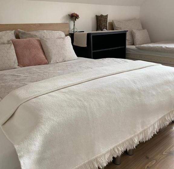 דירת שני חדרים, Helga Vendégház