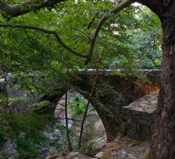 带观景的标准工作室, Theoxenia