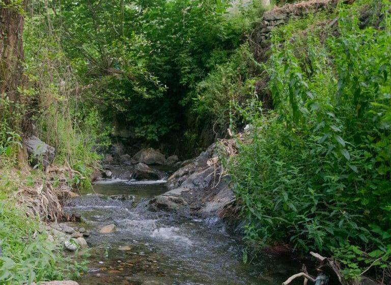 带观景的标准工作室, Theoxenia