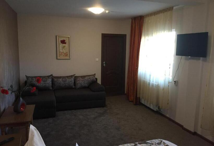 غرفة قياسية ثلاثية, Pensiunea Flora