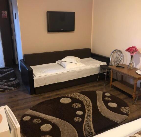 غرفة قياسية ثلاثية, Pensiunea Flora