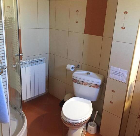 غرفة قياسية, Pensiunea Flora