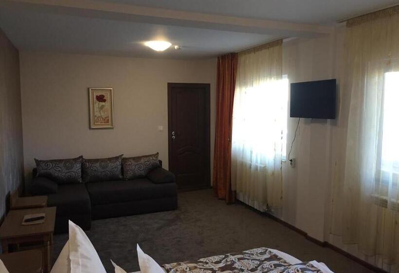 חדר סטנדרט לשלושה, Pensiunea Flora