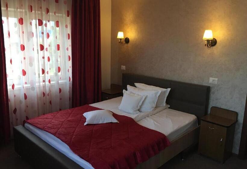 غرفة قياسية, Pensiunea Flora