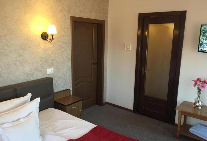 חדר סטנדרט, Pensiunea Flora