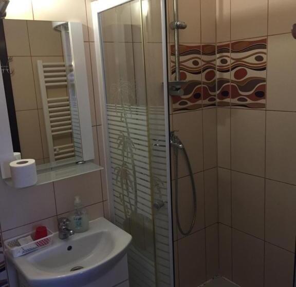 חדר סטנדרט, Pensiunea Flora