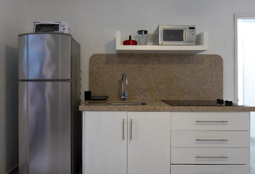 Apartamento 1 Dormitório, Loft Sabalo   Pet Friendly