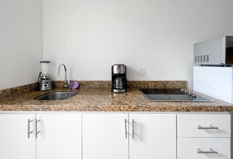 غرفه قياسيه سريرين مزدوجين, Loft Sabalo   Pet Friendly