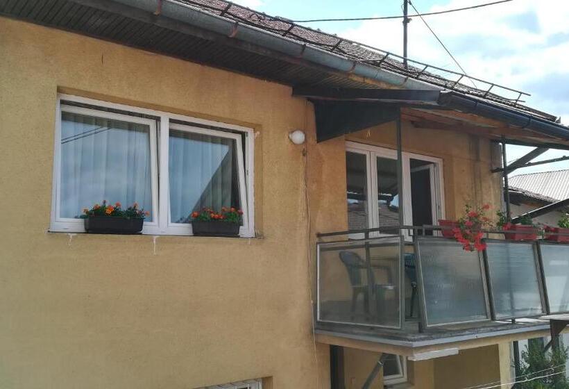 اتاق اکونومی, Guesthouse Mraovac