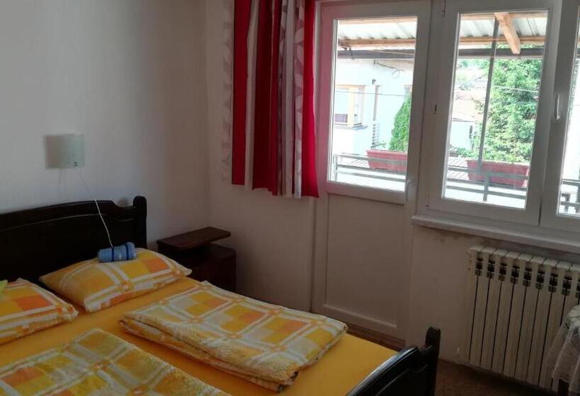 اتاق استاندارد چهارنفره با سرویس بهداشتی مشترک, Guesthouse Mraovac