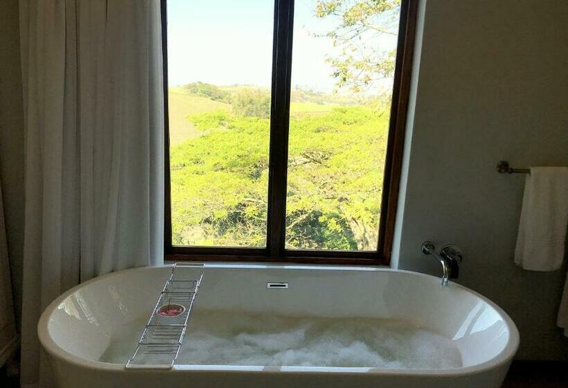 스탠다드 발코니 룸, A Kings View