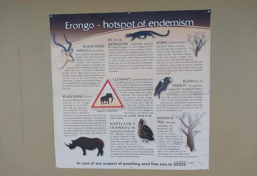 Quarto Estandar, Camp Mara