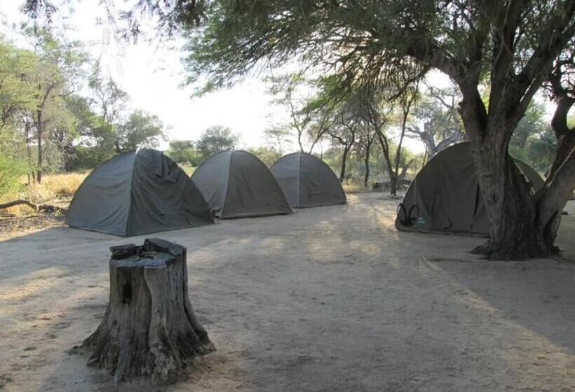 Tenda Padrão, Camp Mara