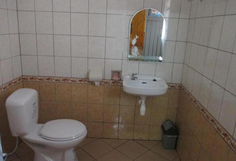 Номер Стандарт Совместная Ванная, Mjr Ticketing Guest House