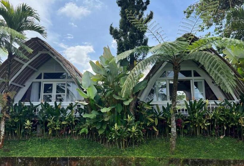 חדר דלוקס, Village Above The Clouds