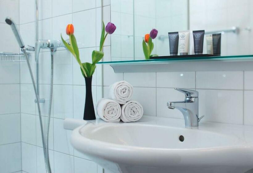 Апартаменты 1 Спальня, Hapimag Ferienwohnungen Interlaken