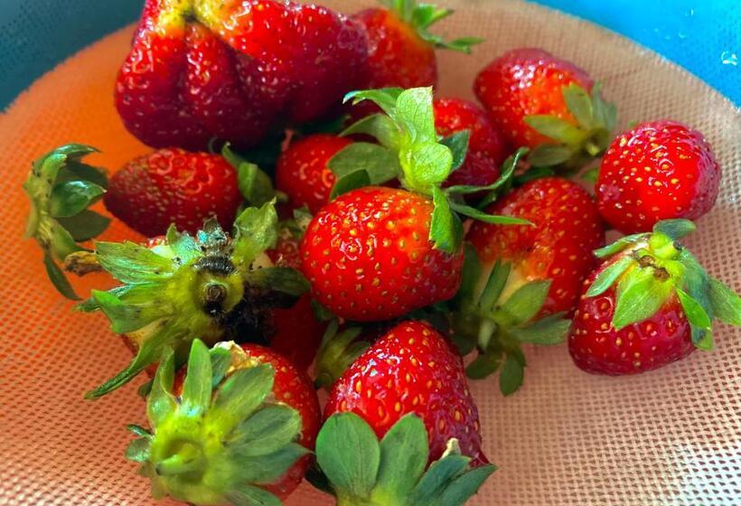 غرفة قياسية ثلاثية, Lakshan View Resort