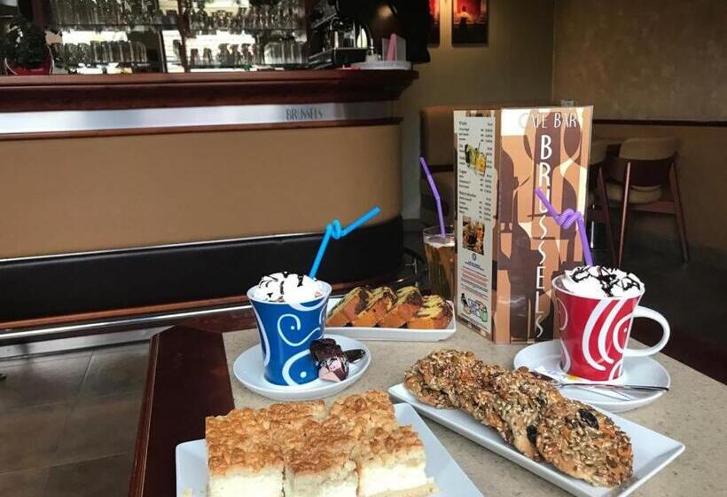 豪华房间, Villa Brussels